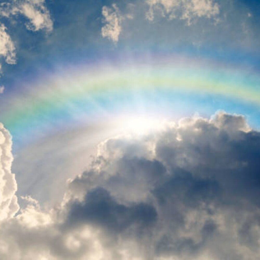 Meet your Posher, Sunshine